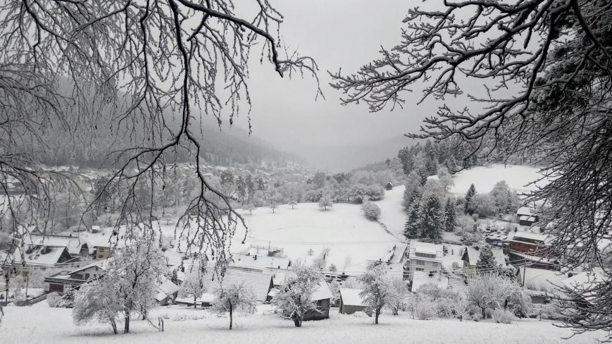 Ferienwohnung Mit Aussicht Enzklösterle Εξωτερικό φωτογραφία