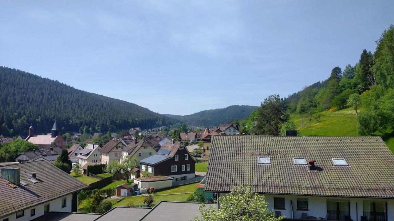 Ferienwohnung Mit Aussicht Enzklösterle Εξωτερικό φωτογραφία