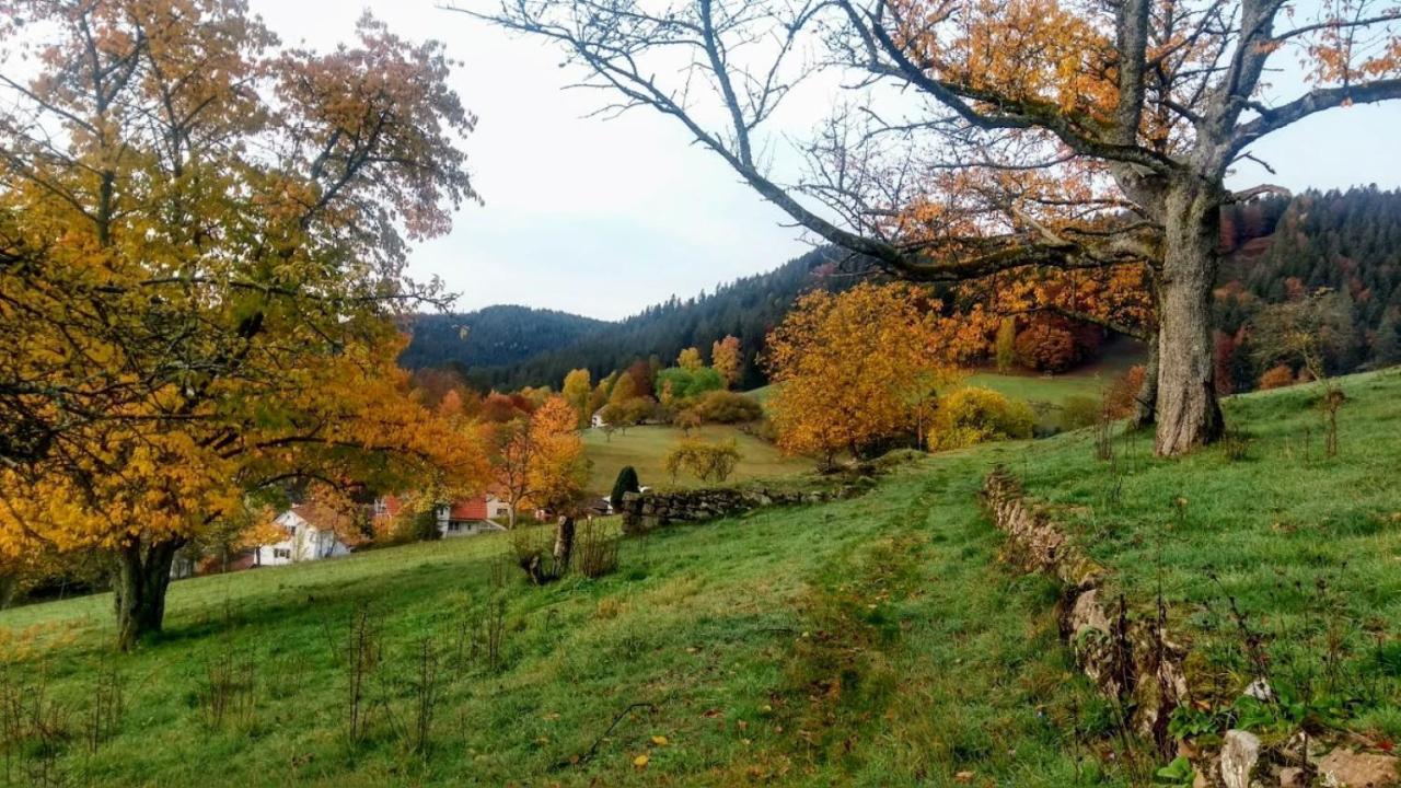 Ferienwohnung Mit Aussicht Enzklösterle Εξωτερικό φωτογραφία